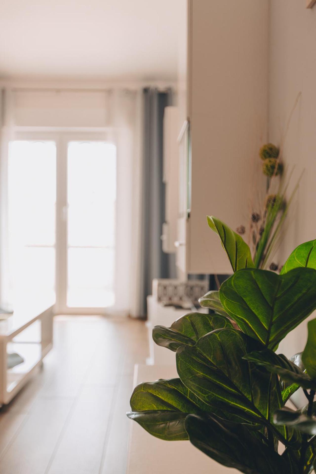 Apartment Neda كرك المظهر الخارجي الصورة